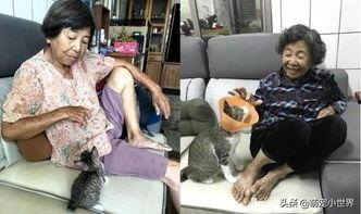 国产肥胖老太视频播放,揭秘肥胖人群生活现状