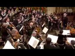 国产乐队演奏现场视频,现场视听盛宴震撼来袭！