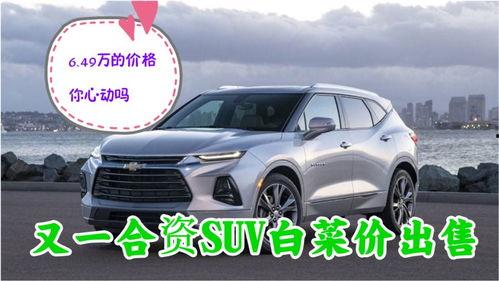 49万豪华国产车视频