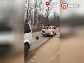 国产车悬挂系统视频  第2张