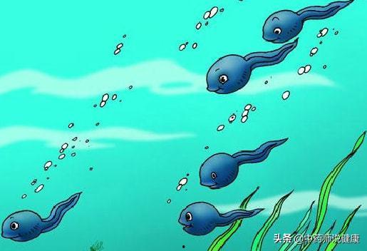 国产蝌蚪视频页,探索创意无限的内容世界  第2张